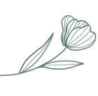 single-image-01 - myxwellness.com usa medical cbg oil