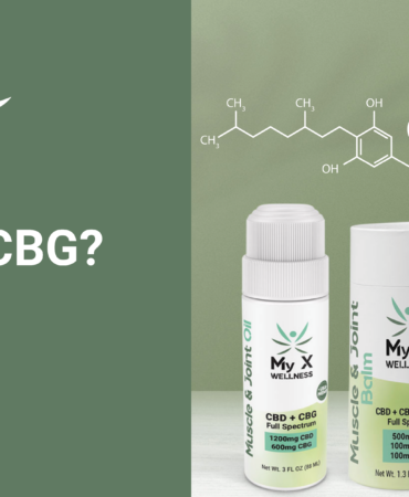 Health Benefits of CBG: Unlocking the Power of Cannabigerol