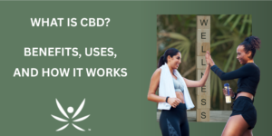 What is CBD benefits uses and how it works educational blog image